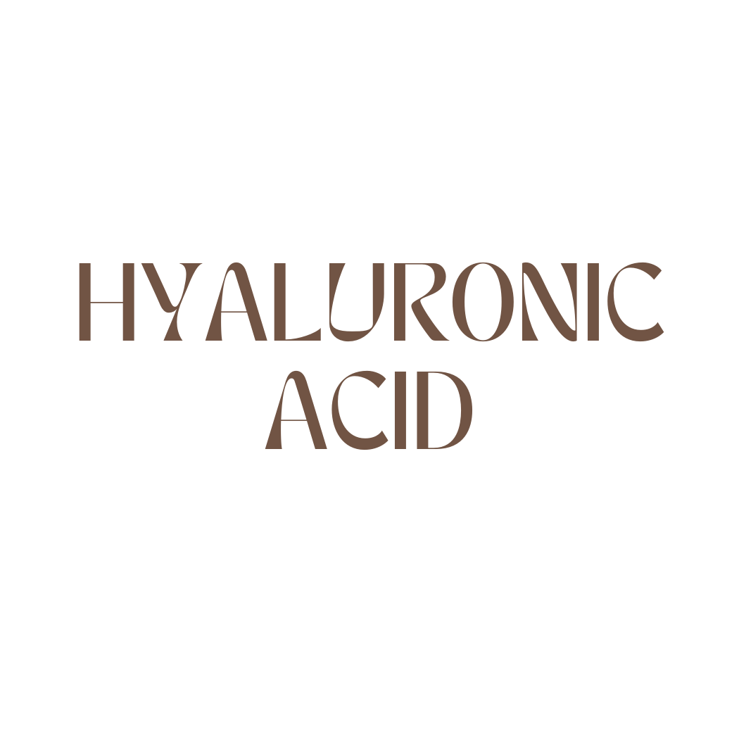 Hyaluronic Acid The Skin Counter